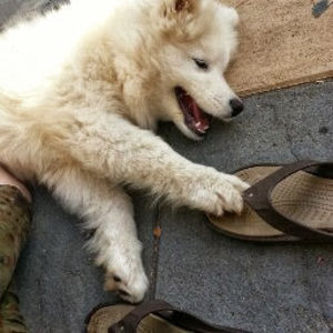 Meet your Posher, Mandy